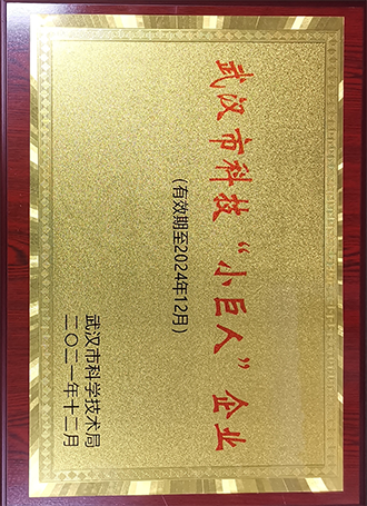 武漢市科技“小巨人”企業(yè)